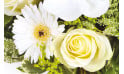 L'Agitateur Floral | zoom sur une rose blanche et un gerbera blanc du bouquet