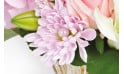 L'Agitateur Floral | zoom sur un chrysanthème de couleur rose