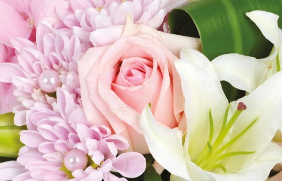 L'Agitateur Floral | Composition Velour Rose : zoom sur une rose rose