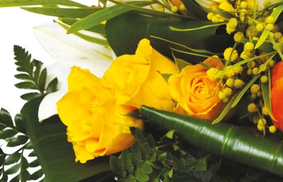 L'Agitateur Floral | zoom sur des roses jaune-orangé