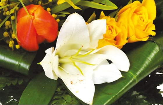 L'Agitateur Floral | zoom un ensemble floral du bouquet Fleurs d'orangé