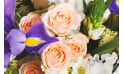 L'Agitateur Floral | zoom sur trois roses roses
