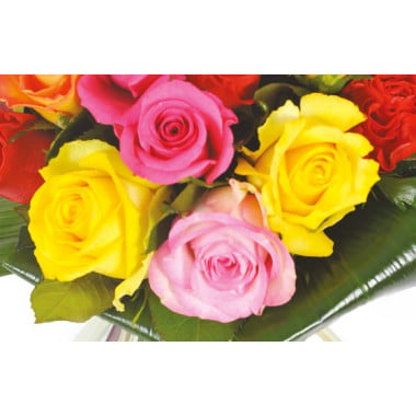 L'Agitateur Floral | zoom sur quatre roses jaune, rose & fuchsia