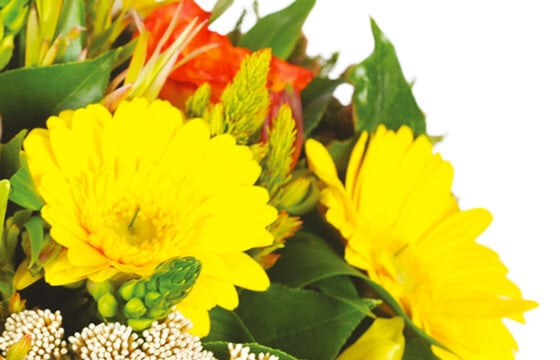 L'Agitateur Floral | zoom sur les gerberas jaunes du bouquet