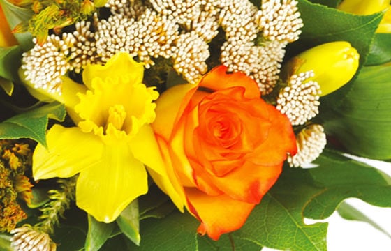 L'Agitateur Floral | zoom sur une rose orange et autre fleurs jaunes