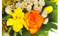 L'Agitateur Floral | zoom sur une rose orange et autre fleurs jaunes