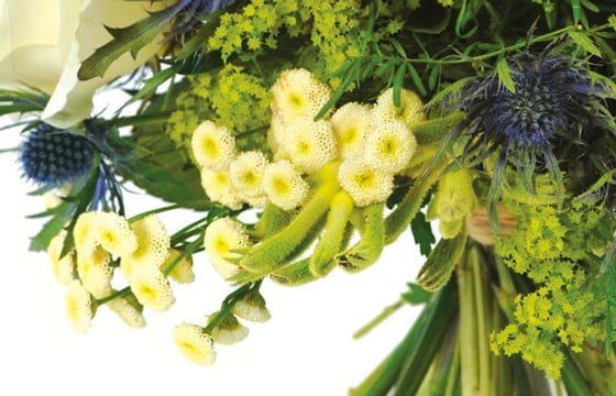 zoom sur des fleurette du bouquet Alchimie