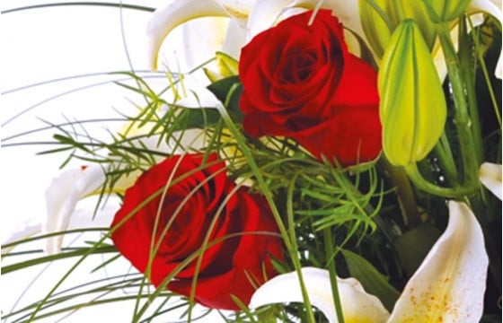 zoom sur de roses rouges du bouquet de fleurs Duchesse