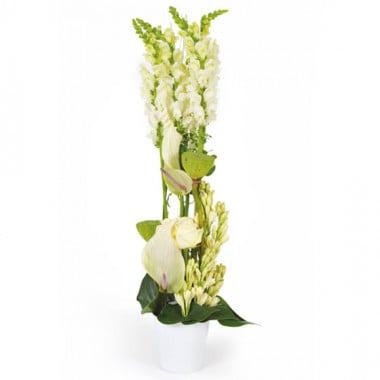 L'Agitateur Floral | image de la composition de fleurs blanches Sissi