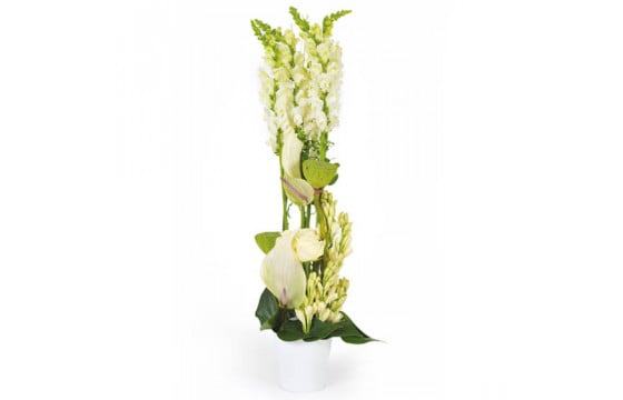 Composition en hauteur de fleurs blanches | Livraison par un fleuriste -  L'agitateur floral