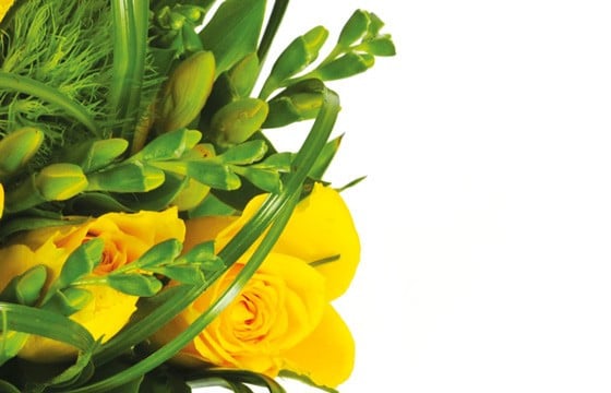 zoom sur des fleurs jaune du bouquet Vert Tige