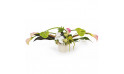 L'Agitateur Floral | Image de la composition horizontale dans les tons pastel blanc et vert