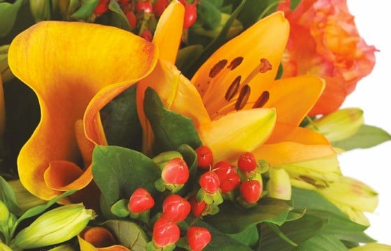 Zoom sur les lys et callas orange