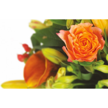 zoom sur une rose orange du bouquet de fleurs