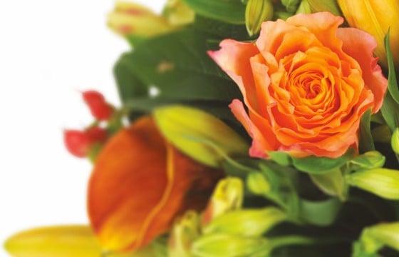 zoom sur une rose orange du bouquet de fleurs