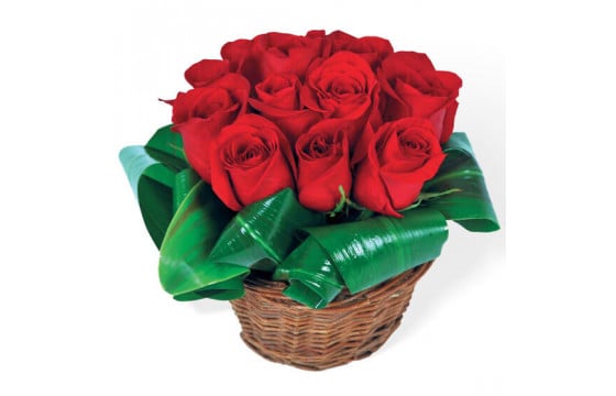 Bouquet de roses rouges Brazilia