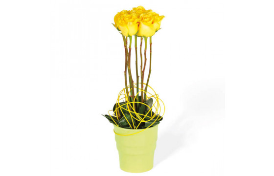 L'Agitateur Floral | image de la composition de roses jaune Lily