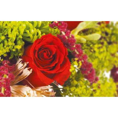 image d'une rose rouge du bouquet Révélation