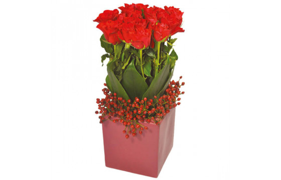 L'Agitateur Floral | image de l'arrangement floral carré de roses rouges