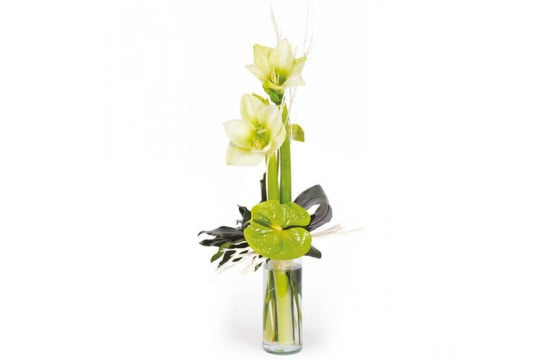 L'Agitateur Floral | image du bouquet linéaire de saison avec amaryllis Un hiver à paris