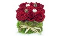 L'Agitateur Floral | image du carré de Noël