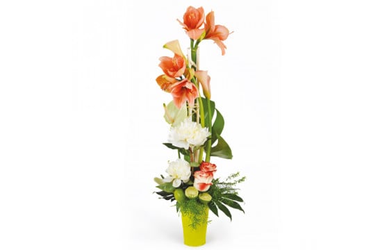 Composition de fleurs Alchimie | livraison de fleurs par internet -  L'agitateur floral