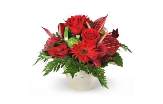 Composition de fleurs rouge Flamboyant | Livraison par un fleuriste -  L'agitateur floral