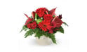 L'Agitateur Floral | image de la composition de fleurs rouges flamboyant