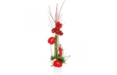 L'Agitateur Floral | Image de couverture composition de fleurs Arum