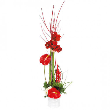 L'Agitateur Floral | Image de couverture composition de fleurs Arum