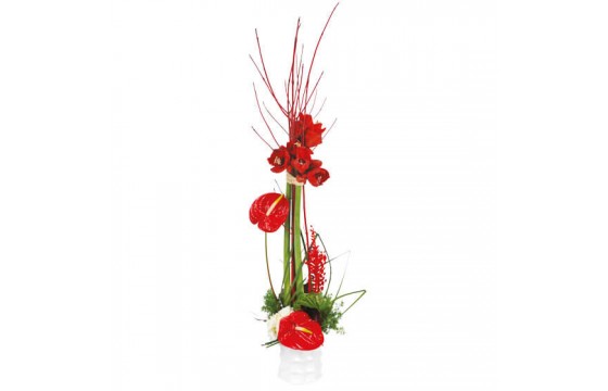 L'Agitateur Floral | Image de couverture composition de fleurs Arum