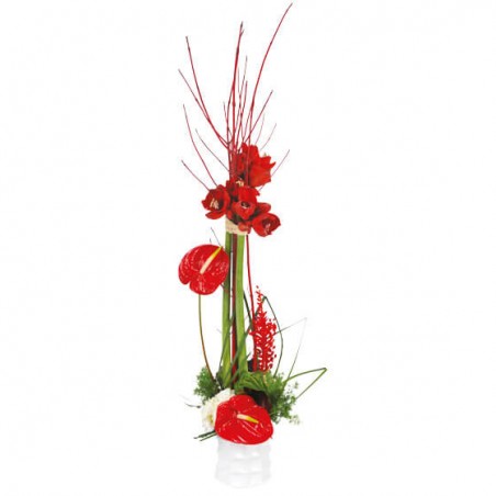 L'Agitateur Floral | Image de couverture composition de fleurs Arum