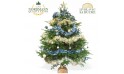 L'Agitateur Floral | image du Sapin de Noël Décoré Bleu et Or