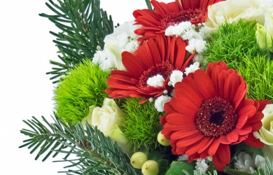 L'Agitateur Floral | vue sur les gerberas du Bouquet de fêtes de fin d'année "Pavlova"
