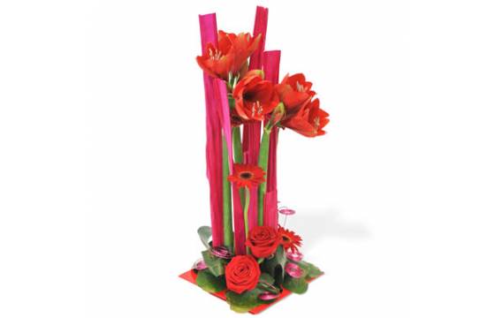 L'Agitateur Floral | image de la Composition florale Tonique