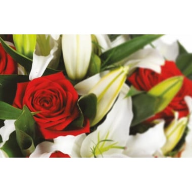 Image d'une rose rouge du bouquet floral