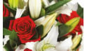 Image d'une rose rouge du bouquet floral