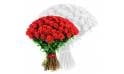 L'Agitateur Floral | image du bouquet de roses rouges courtes tiges
