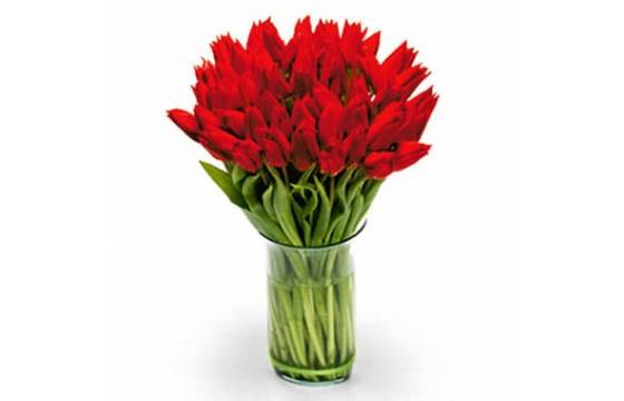 L'Agitateur Floral | image du Bouquet Rond de Tulipes Rouges