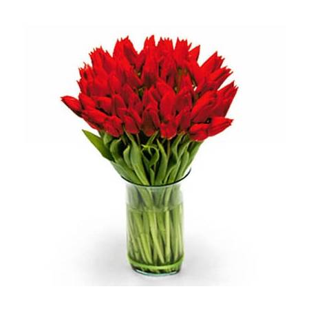 L'Agitateur Floral | image du Bouquet Rond de Tulipes Rouges