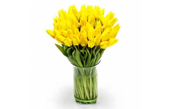 L'Agitateur Floral | Image du Bouquet de Tulipes Jaunes