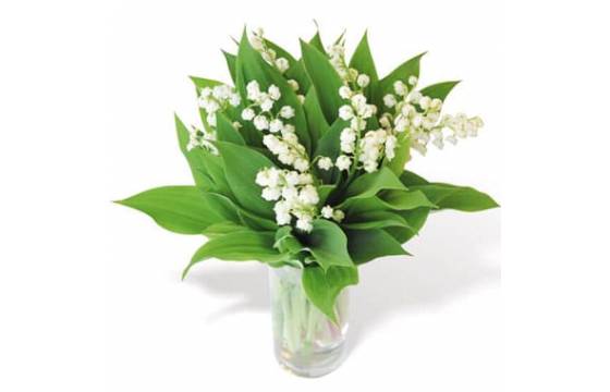 L'Agitateur Floral | image du bouquet de muguet heureux