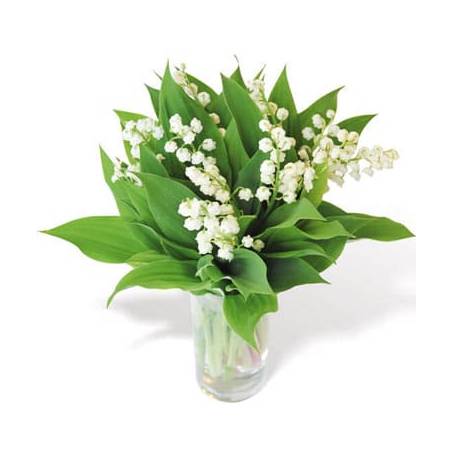 Bouquet rond de Brin de Muguet | Livraison de fleurs 1er Mai - L'agitateur  floral