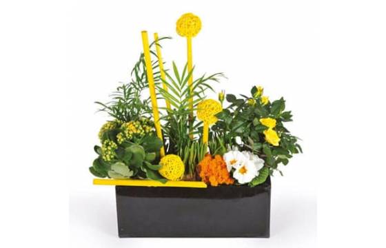 L'Agitateur Floral | image de la coupe de plantes dans les tons jaune le jardin d'Abel