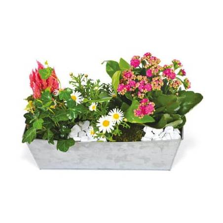 Jardinière de plantes roses & blanches | livraison fleurs enterrment -  L'agitateur floral