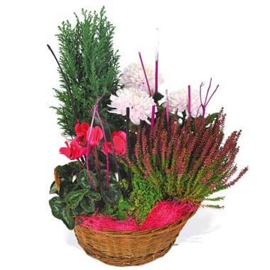 L'Agitateur Floral | image de la composition de plantes rouge et rose Le Jardin des Anges