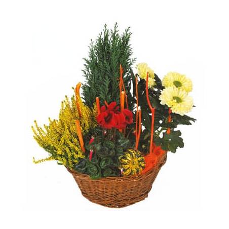 L'Agitateur Floral | image de la Composition de deuil rouge & jaune Jardin d'Hiver