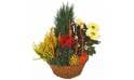 L'Agitateur Floral | image de la Composition de deuil rouge & jaune Jardin d'Hiver