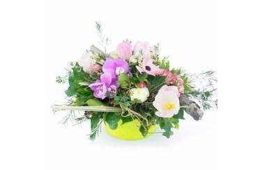 L'Agitateur Floral | Image de couverture composition Fleurs des Bois