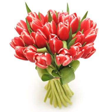 L'Agitateur Floral | image du Bouquet de tulipes rouges Perle Douce